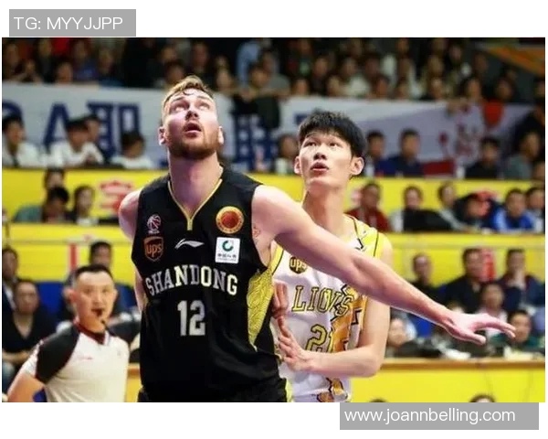 成都羽毛球队阵地战打法深度解析与战术应用探讨 成都羽毛球队阵地战打法深度解析与战术应用探讨