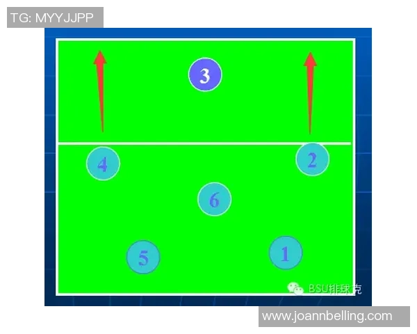 武汉排球队在排球战术排行榜中荣获第八名的辉煌成就分析