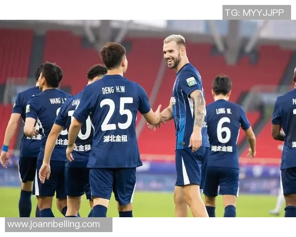 足球纪实：记录武汉足球队的成长故事