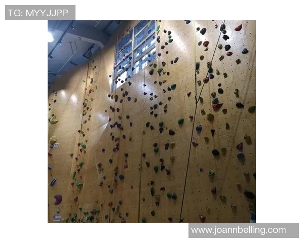 聚焦攀岩：南京攀岩队的灵活性话题