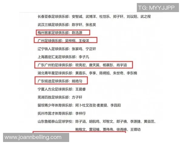 足球热议:广州足球队的力量争议