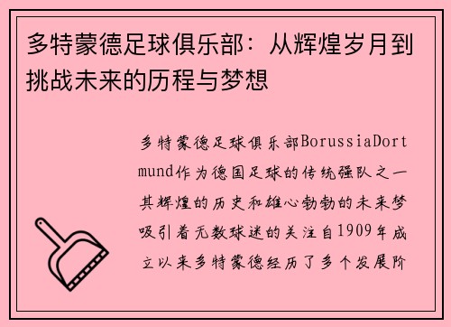 多特蒙德足球俱乐部：从辉煌岁月到挑战未来的历程与梦想