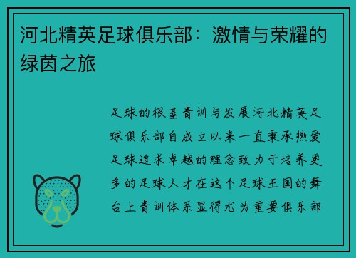 河北精英足球俱乐部：激情与荣耀的绿茵之旅