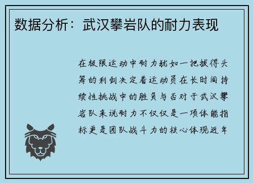 数据分析：武汉攀岩队的耐力表现