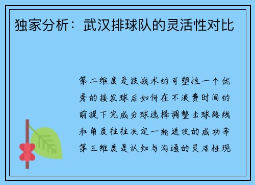 独家分析：武汉排球队的灵活性对比